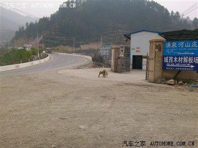 3p 国产,多元文化交融的东方奇迹  第2张