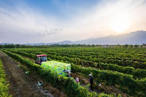 国产视频3p,揭秘中国影视行业的新趋势与挑战 第2张 国产视频3p,揭秘中国影视行业的新趋势与挑战 第2张